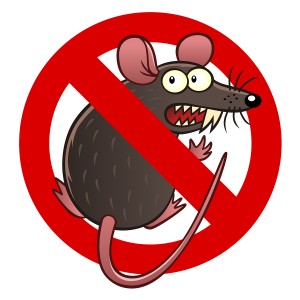 Prevent Rodent and Rodent Damage in DeRidder, LA